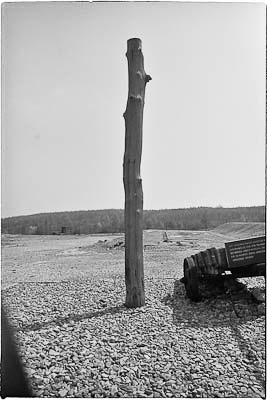 Buchenwald 1983
