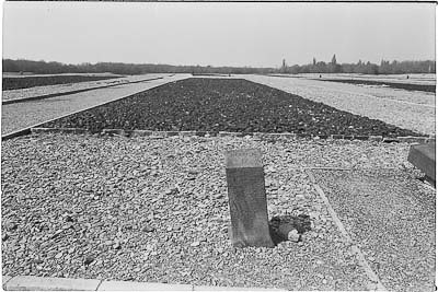 Buchenwald 1983
