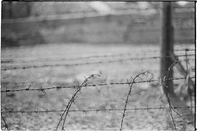 Buchenwald 1983