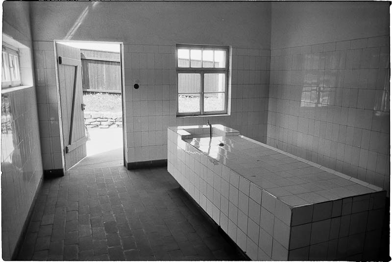 Buchenwald 1983