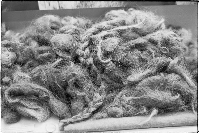 Buchenwald 1983